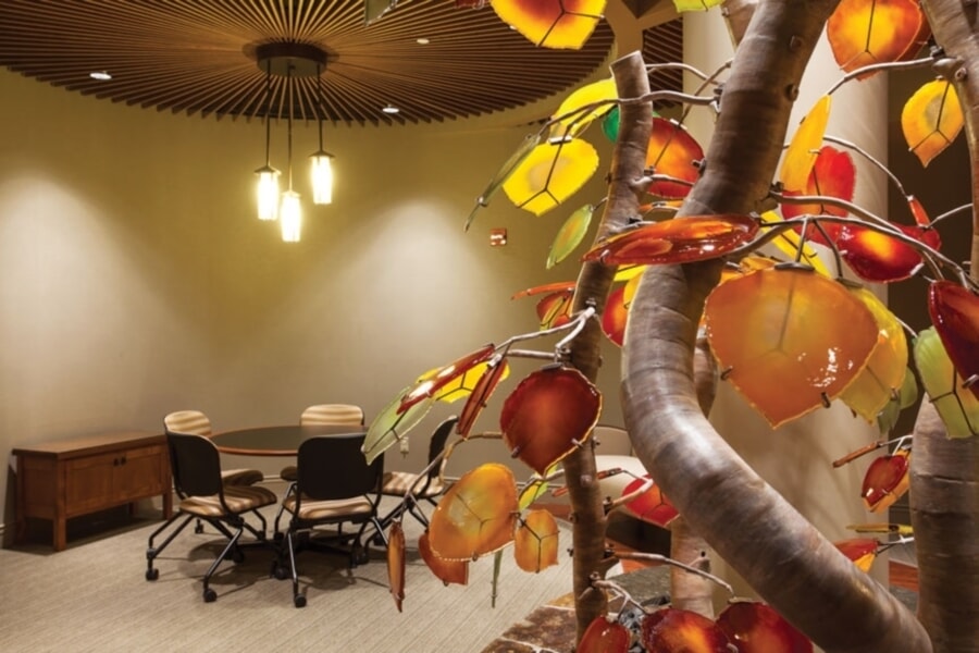 Health Care Lighting - Tahoe Forest Cancer Center