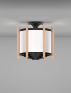 Winston Series Ceiling Mount Church Light Fixture